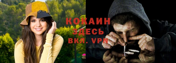 ПСИЛОЦИБИНОВЫЕ ГРИБЫ Бородино
