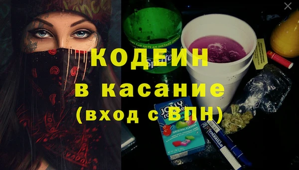 ПСИЛОЦИБИНОВЫЕ ГРИБЫ Бородино