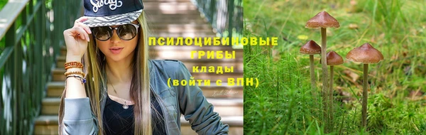 соль ск Верея